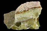 5.8" Free-Standing Green Calcite Display - Chihuahua, Mexico - #129474-3